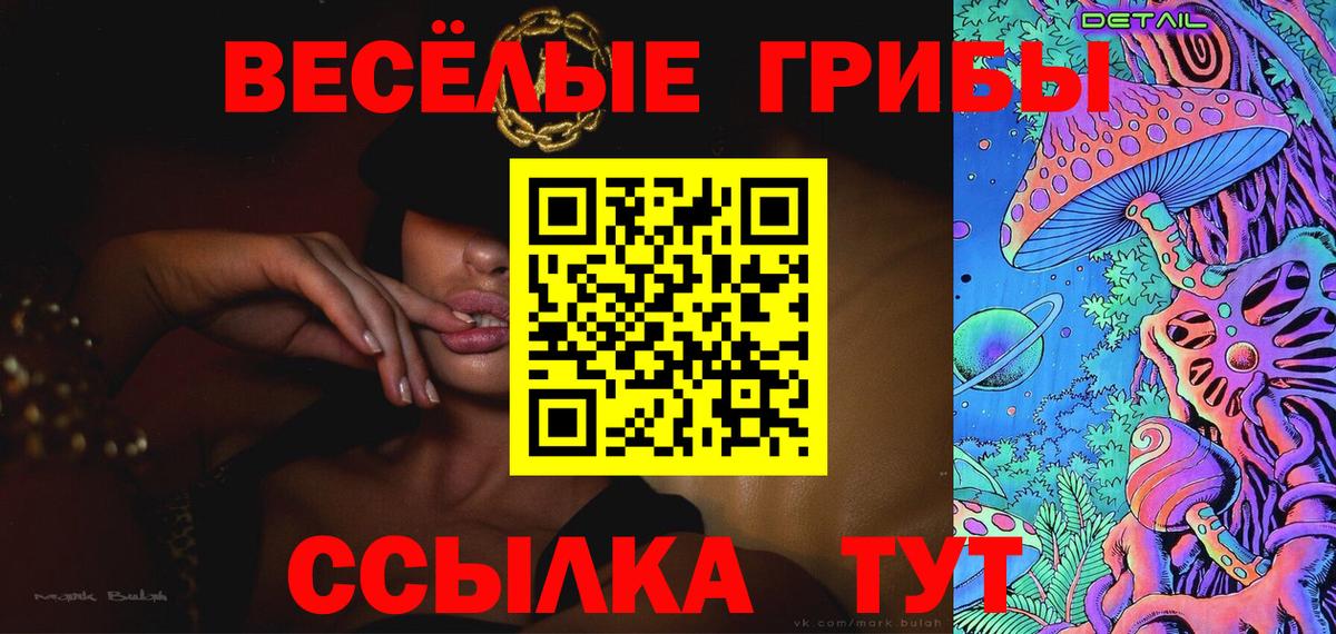 Ревда  Псилоцибиновые грибы Psilocybine cubensis  Вход с VPN 